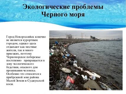 Экологические проблемы берингова моря и их решение