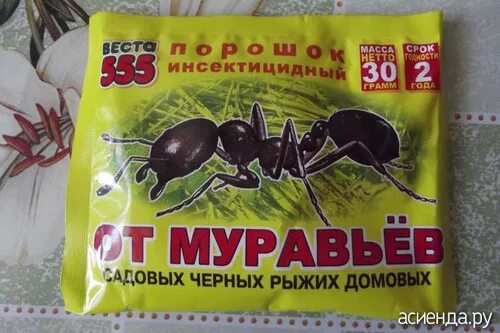 Тд муравей. Отрава от муравьев. средство от муравьев порошок. отрава от муравьев порошок. муравей средство от муравьев порошок.
