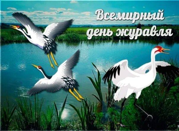 Всемирный день журавля 12 сентября. Открытки всемирный день журавля. Картинка день журавлей. Всемирный день журавля 13 сентября. День журавля.