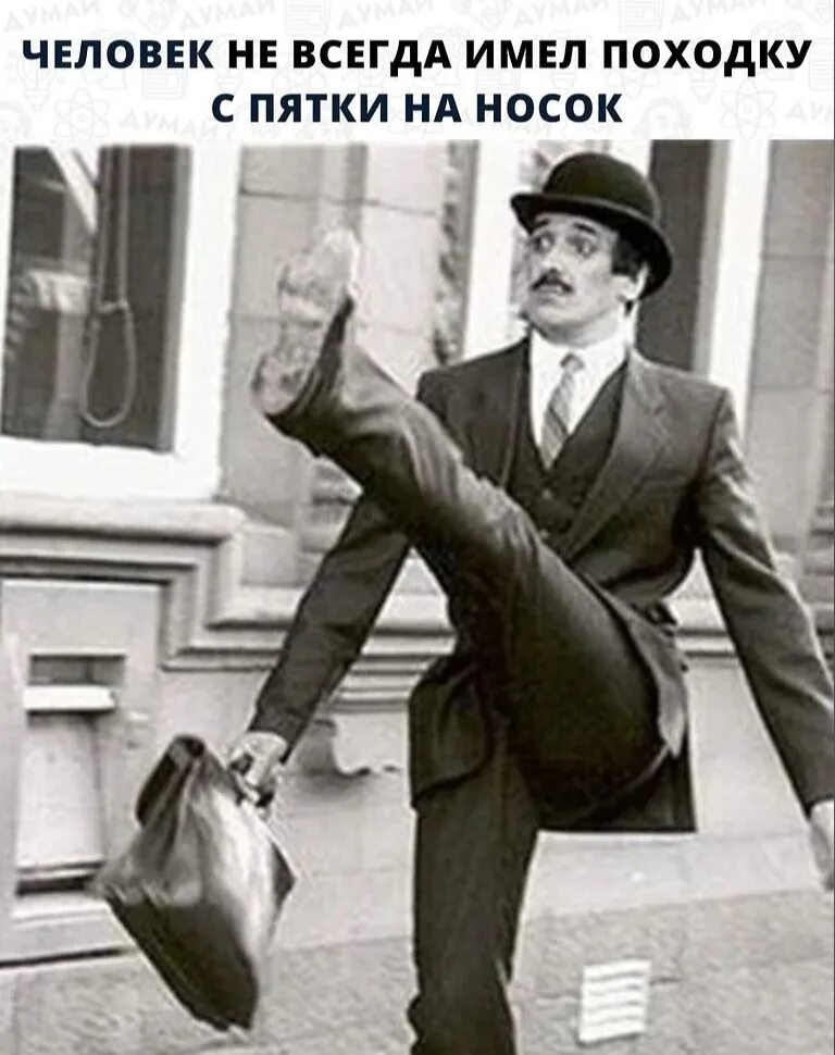 John Cleese. Леонардо ди Каприо походка. Смешная походка. Вальяжная походка.