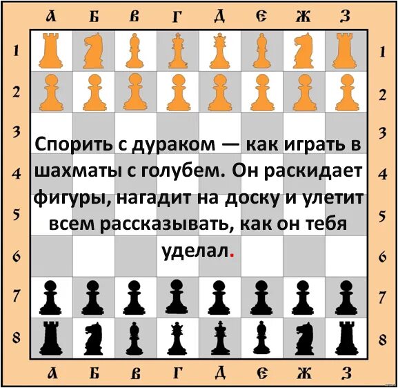 Игра в шахматы с голубем. Голубь на шахматной доске. Все равно что играть в шахматы с голубем. Спорить с дураком как играть в шахматы с голубем. Никогда не спорьте с дураками