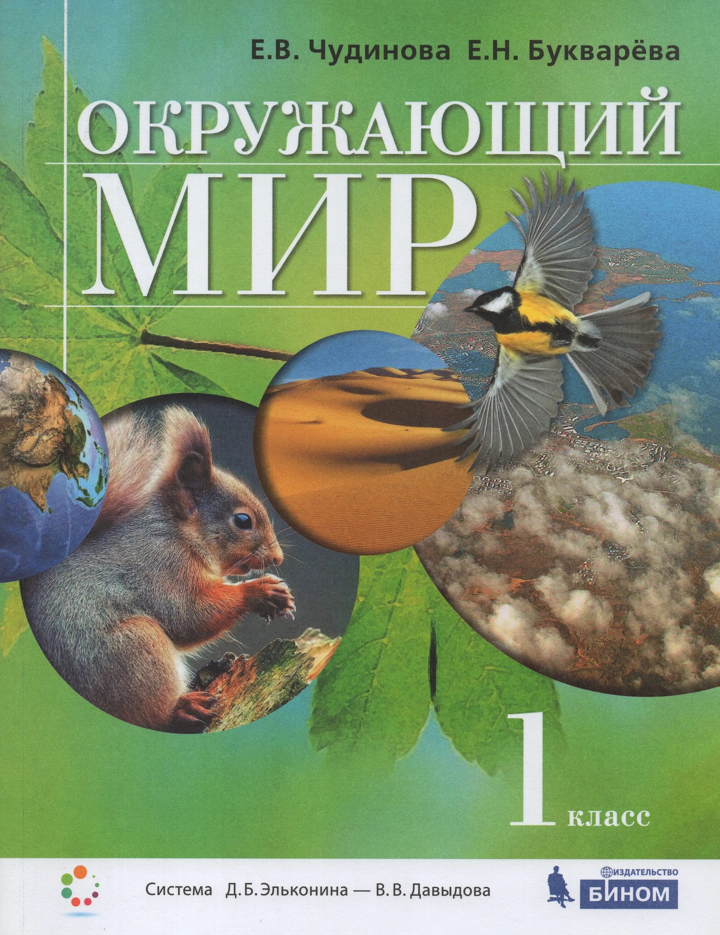 Окружающий мир 1 класс авторы. Окружающий мир. авторы: чудинова е.в., букварева е.н.. окружающий мир (1–4 классы). авторы: чудинова е.в., букварева е.н.. учебник е.в.чудинова, е.н.букварёва  «окружающий мир».. окружающий мир чудинова букварева 2020.