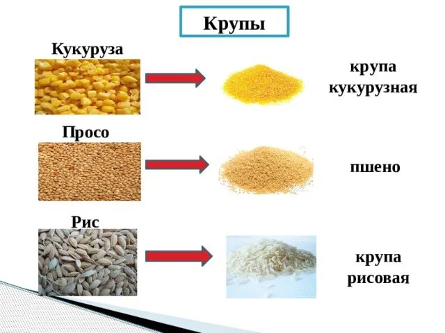 Крупы. Разновидности круп. Крупы рис. Рис с пшеном.