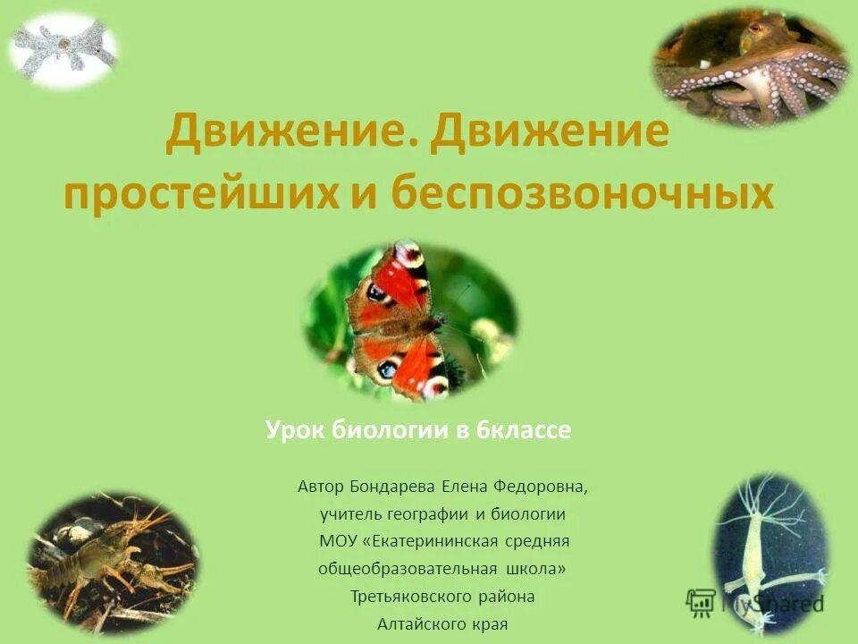 технологии на уроках биологии. тип кишечнополостные общая характеристика 7 класс таблица. коука орасстения ботаник. видео урок по биологии 7 класс. предмет исследования биологии.