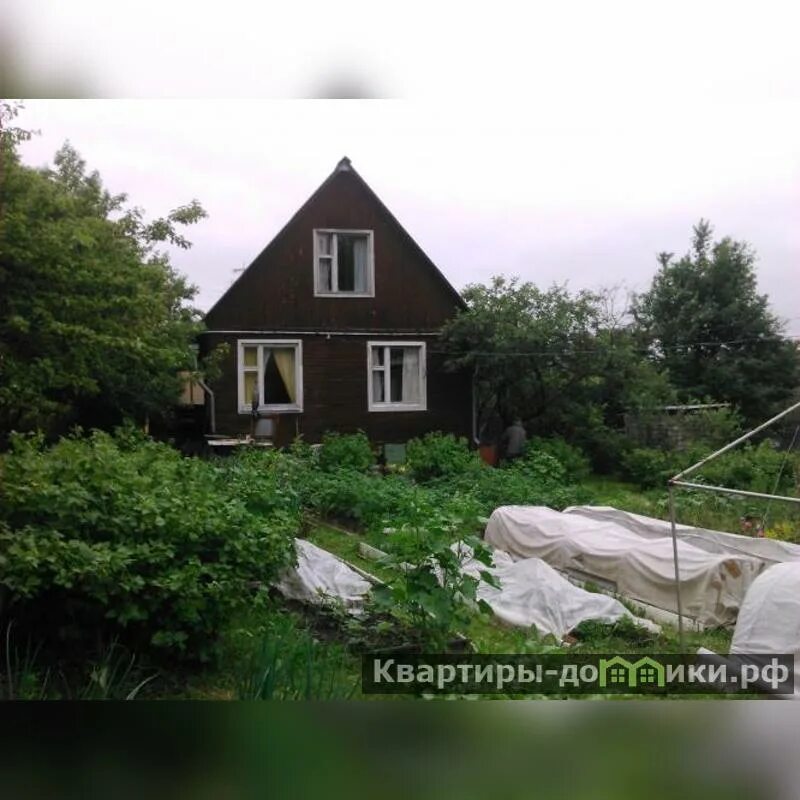 Снт перовское. Снт перовское. Снт перовское. Деревня васютино московская область. Снт перовское.