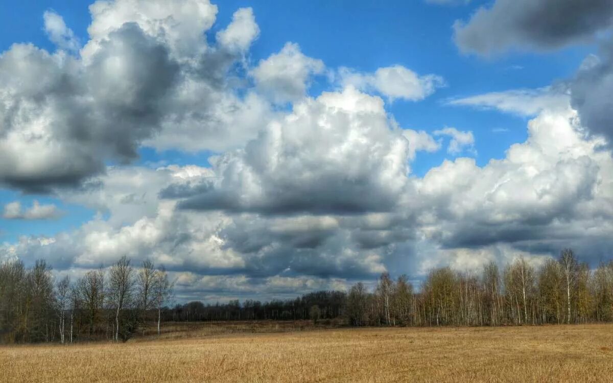 Плывут облака с золотыми краями. Облака плывут. В небе плыли облака и. По небу плывут облака. Облака плывут над рекой.