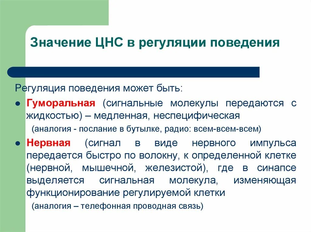 Регуляция ЦНС. Значение ЦНС. Значение ЦНС для организма. Значение центральной нервной системы. Функции центрального отдела нервной системы