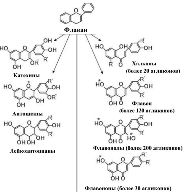 Синтез антоцианов. Классификация флавоноидов схема. Флаван формула структурная. Флавоноиды структурная формула. Флавоноиды классификация.