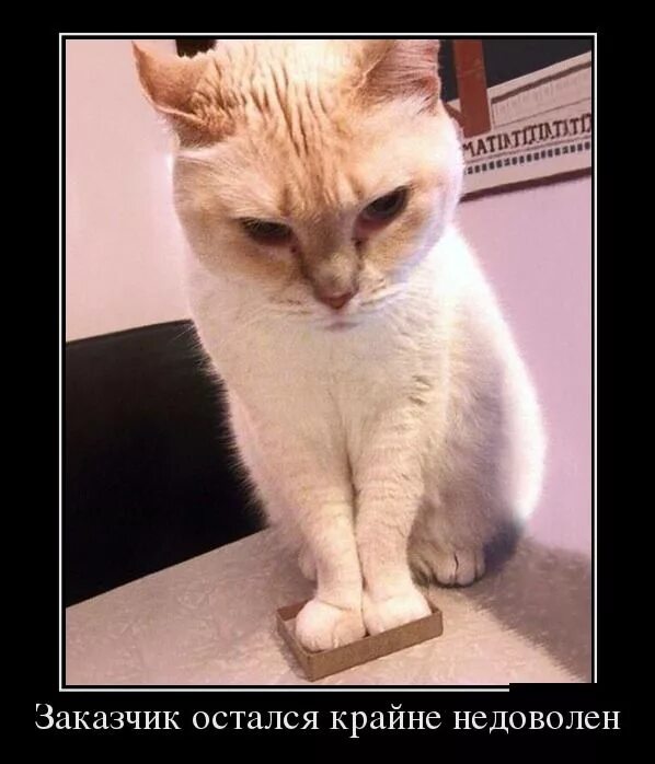 Цитаты достоевского. Оставаться чрезвычайно. Социально-демографические факторы. Попытки запада наказать россию. Демографические факторы.