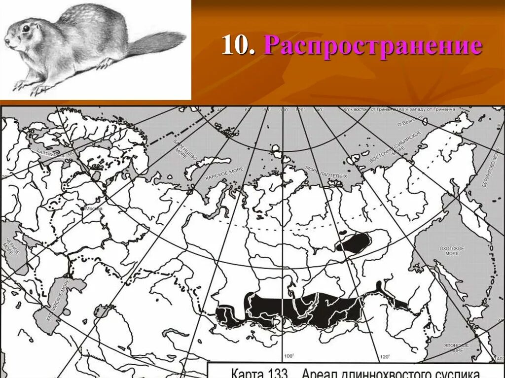 Ареал обитания сусликов в России. Ареал обитания бобра в России на карте. Длиннохвостый суслик ареал. Европейская норка ареал.
