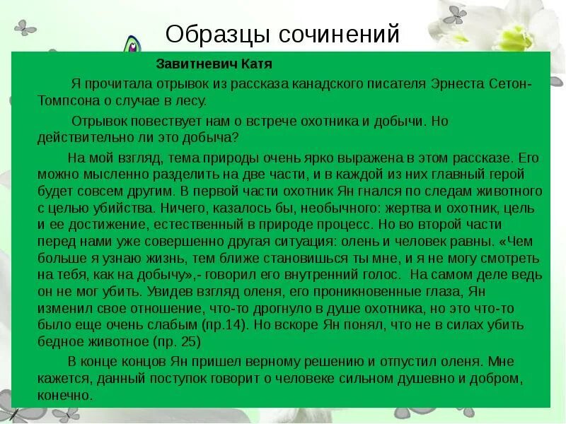 Примеры сочинений на тему. Образец сочинения. Сочинение рассказ пример. Сочинение на тему рассказ. Мини сочинение пример.