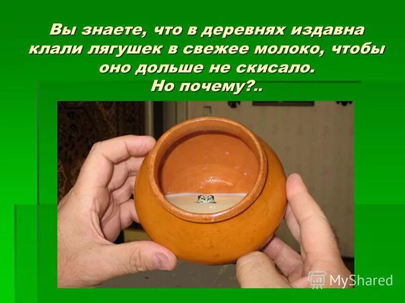 Процесс скисания молока. Опыт скисания молока. Молоко комнатной температуры. Почему скисает молоко проект. Продукты из молока своими руками.