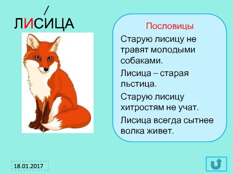 В каком предложении есть синонимы лиса живет. В каком предложении есть синонимы лиса живет. Трусливому зайке пословица. Лиса живёт хитростью. Текст про лису.
