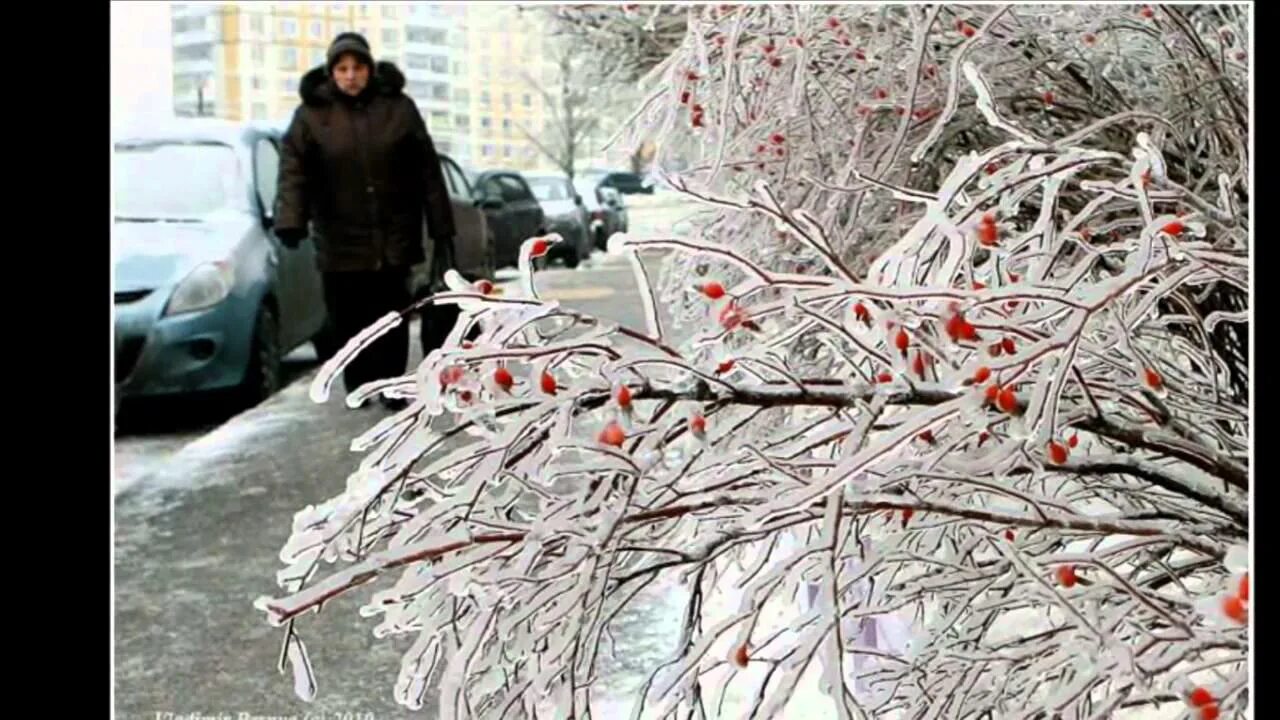 Ледяной дождь декабрь 2010 Москва. Ледяной дождь в Москве 2010. Ледяной дождь в России 2010 год. Ледяной дождь в Москве в 2010 году. Несмотря на обледенение дороги впр