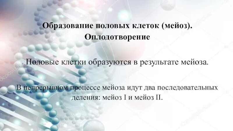 Женские половые клетки образуются в процессе. Образование половых клеток и оплодотворение. Мейоз образование половых клеток и оплодотворение. Образование половых клеток мейоз. Образование половых клеток презентация.