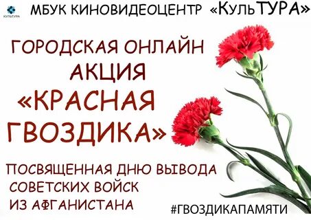 Гвоздика путевки