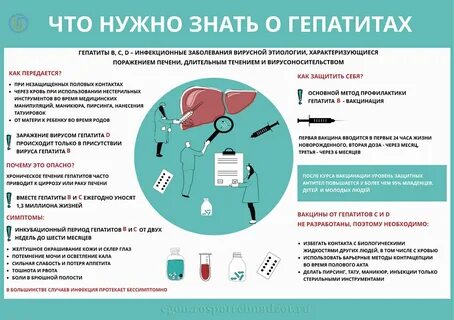 Беседа вирусный гепатит