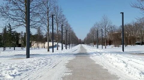 Погода пос центральный