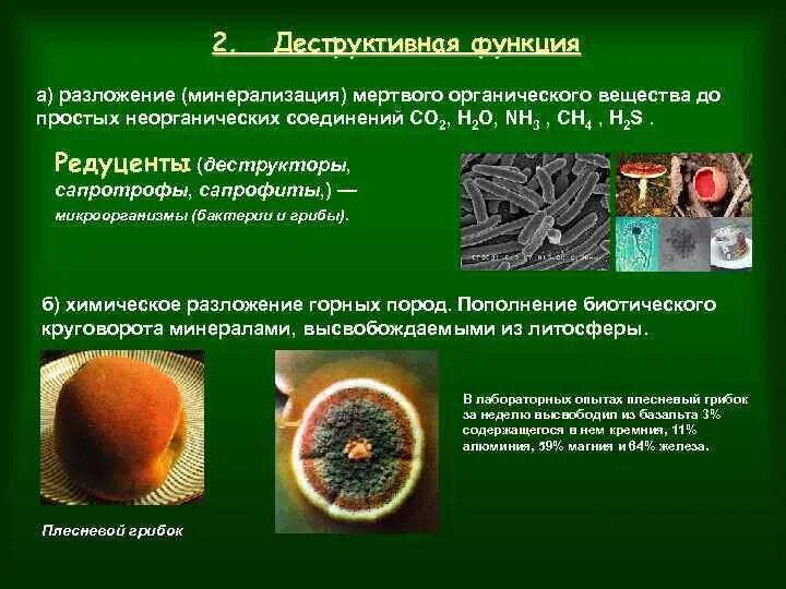 Примерами деструктивной функции живого вещества биосферы являются: найдено 85 ка