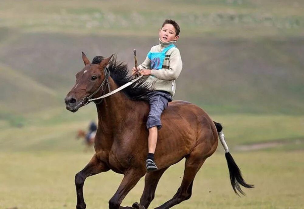 Бул калай. Хобби рисунок. Бул калай. Үй жануарлары на казахском. Казахские сказки.
