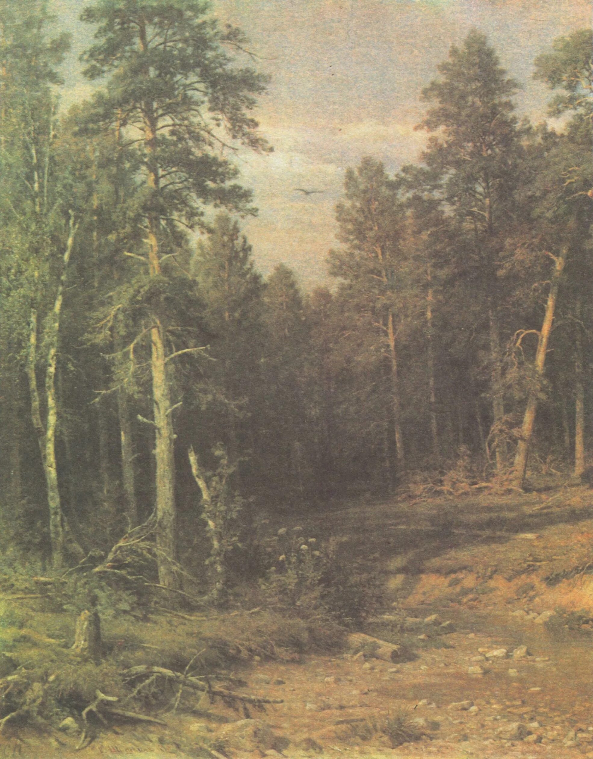 Картина шишкина сосновый лес фото Pine forest, 1878 Ivan Shishkin Пейзажи, Лес живопись, Живописные пейзажи