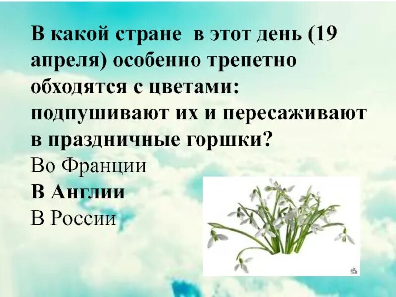 День 19 апреля 2021. 19 Апреля день подснежника. 19 Апреля день подснежника презентация. Проект Подснежник презентация. Консультация для родителей 19 апреля день подснежника.