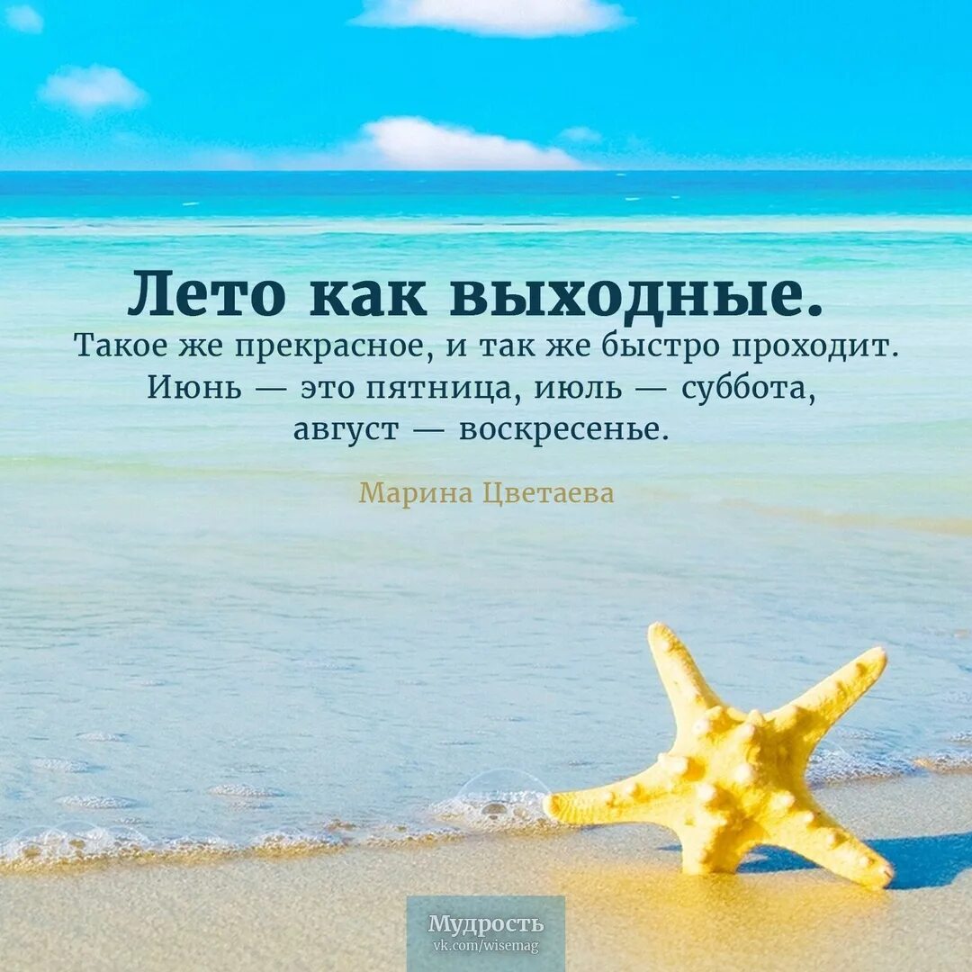 Цитаты лета со смыслом. Цитаты про лето. Летние цитаты. Высказывания про лето. Цитаты о лете.