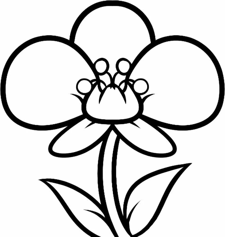 Цветы картинки раскраски. Раскраска цветочек. Цветок для срисовки легкий. Раскраска цветочек. Легкие цветы для рисования.