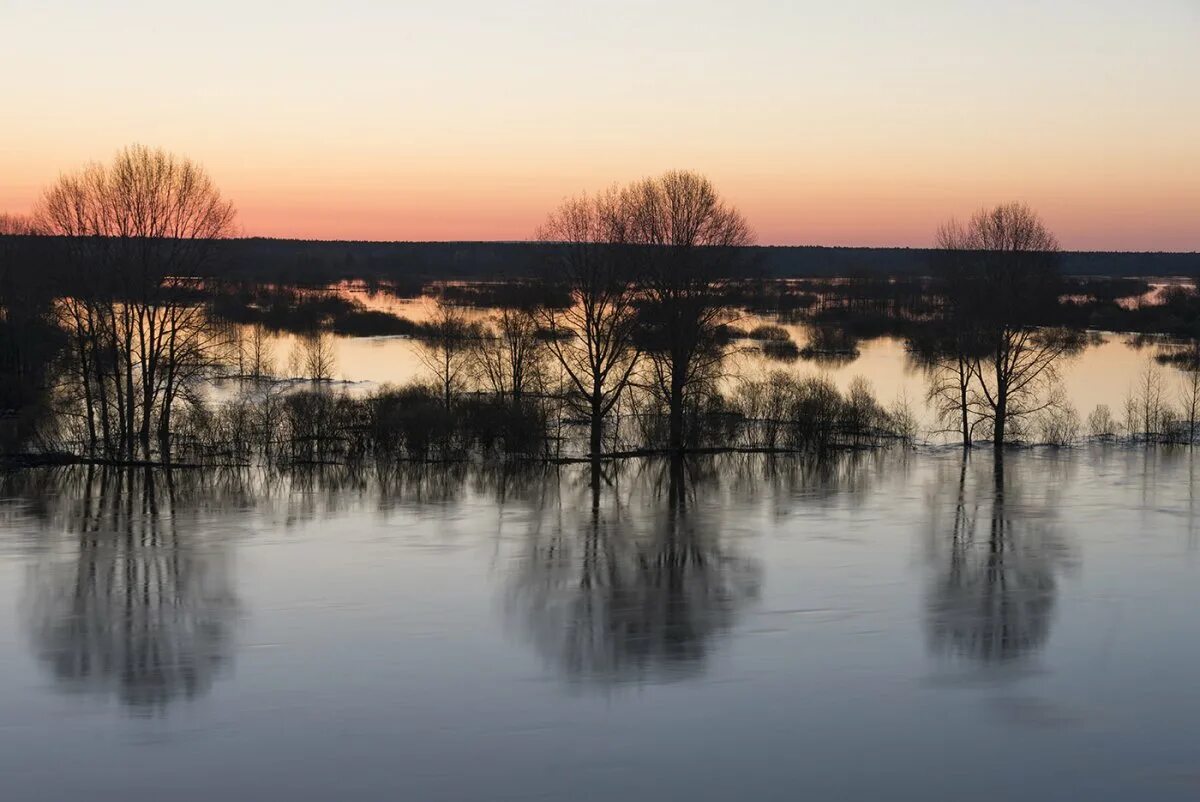 Река чепца кировская область. Лекма (приток чепцы). Река чепца глазов. Река пызеп удмуртия. Река чепца кировская область.