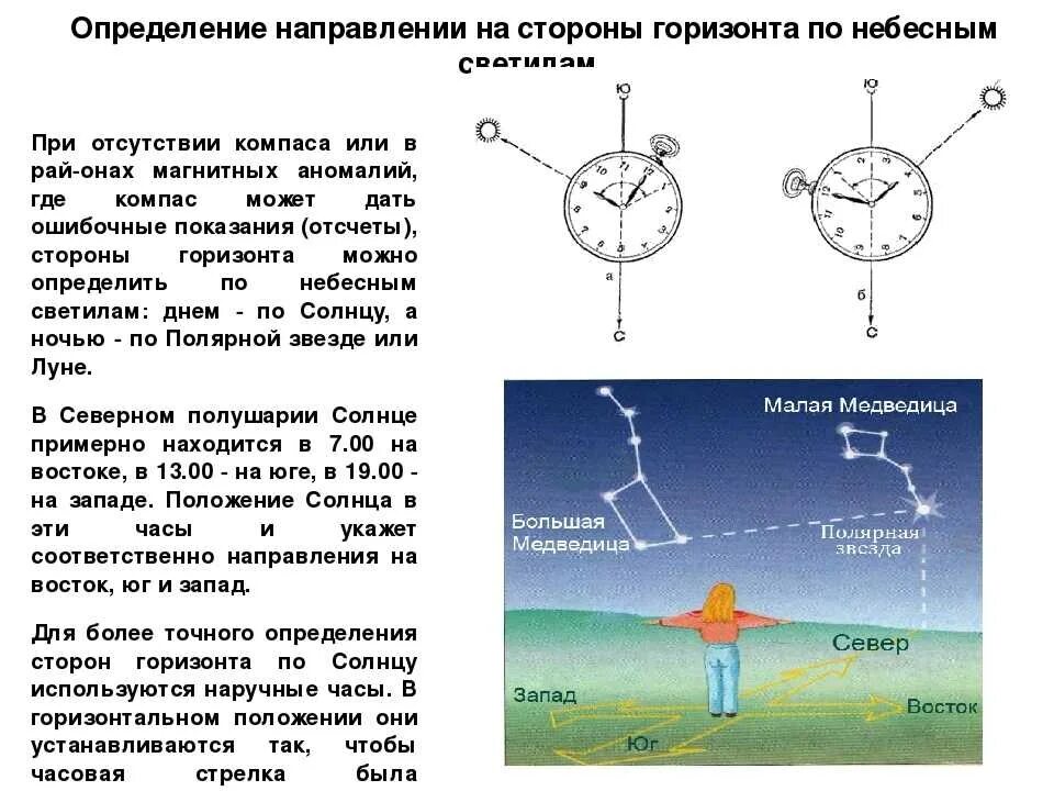 По какой звезде ориентируются. Определение сторон горизонта по солнцу. Определить стороны света по солнцу. Определит ъ Стронин света по сунцу. Как определить стороны горизонта по солнцу.