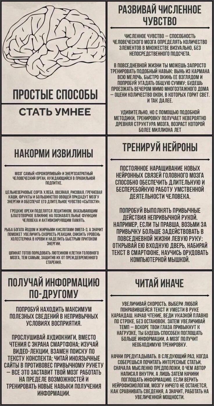 Желание стать умнее. Простые способы стать умнее. способы развития мозга. мозг статьи. развиваем мозг.