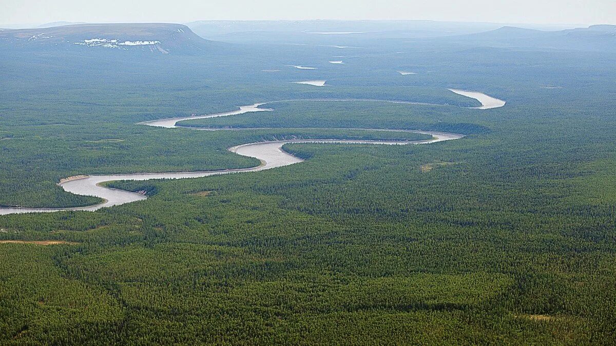река тунгуска красноярский край. река тунгуска еао. природа красноярского края тунгуск. река нижняя тунгуска красноярский край. устье нижней тунгуски.