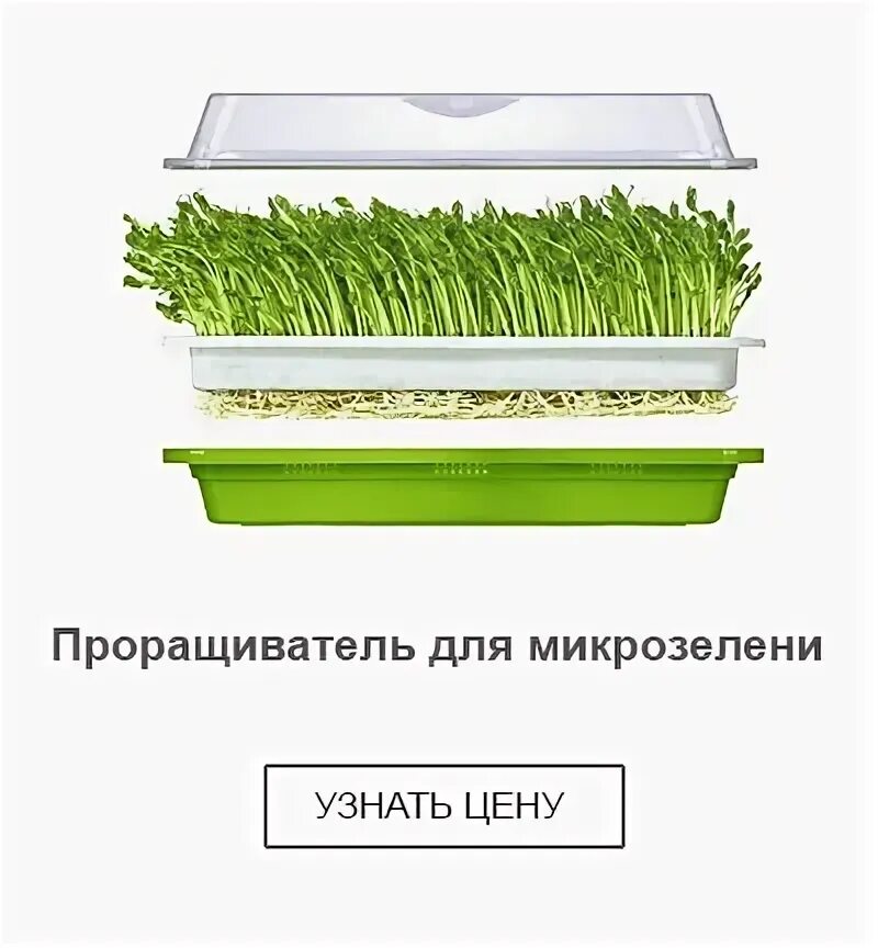 Таблица микрозелени. Проращиватель для микрозелени. что нужно для выращивания микрозелени. проращиватель для микрозелени автоматический. условия выращивания микрозелени.