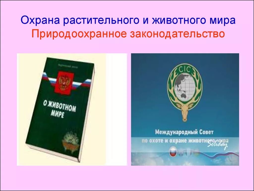 Закон об охране животных. Правовая охрана животных.