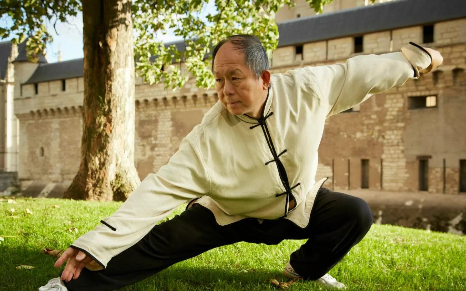 Гимнастика тайчи цигун. Китайская гимнастика tai chi. Цигун Тайцзи кунг фу. Тай Цзи цюань.