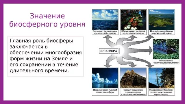 Процесс биосферного уровня. Значение биосферного уровня. обеспечение многообразия форм жизни на земле-. биосфера уровень организации жизни.