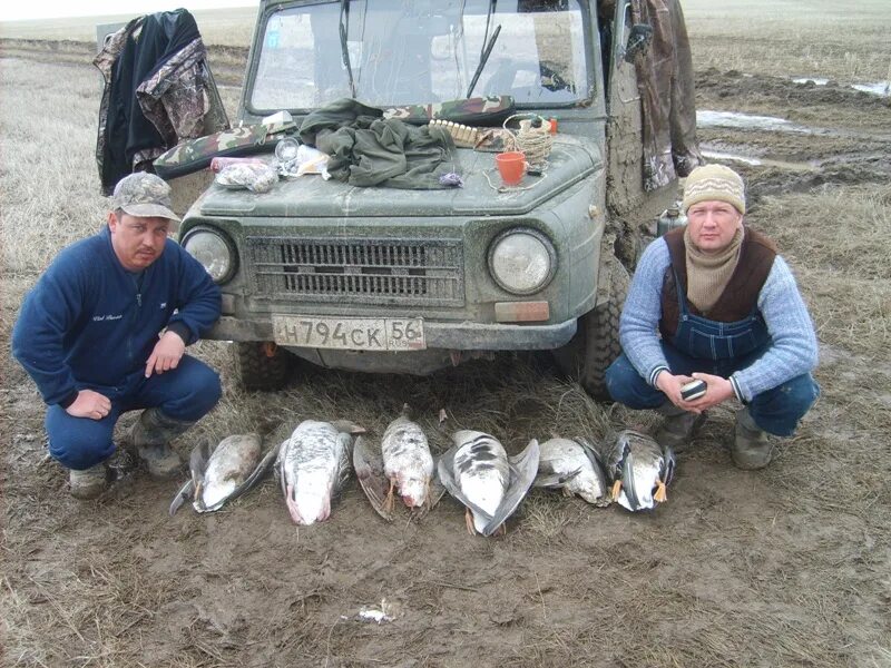 Красный чабан озеро. Красный чабан фото. Красный чабан. Красный чабан (красночабанский). Чабан орск.