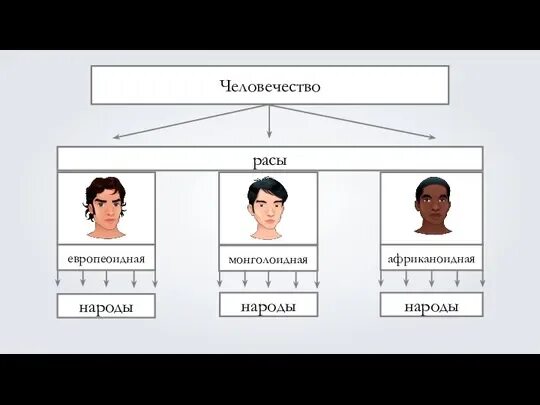 Человеческая раса европеоидная. Европеоидная раса люди. Европеоидная раса представители. Человеческие расы европеоидная. Европеоидная внешность.