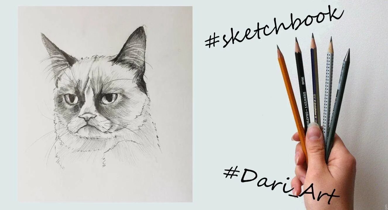 Идеи для рисунков котиков. Идеи для рисования кота. идеи для рисунков кот. скетчинг котик для начинающих. скетчингкоты карандашом.