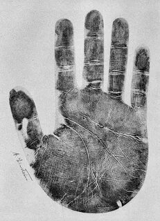 Hand did