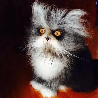 Ешкин дрын