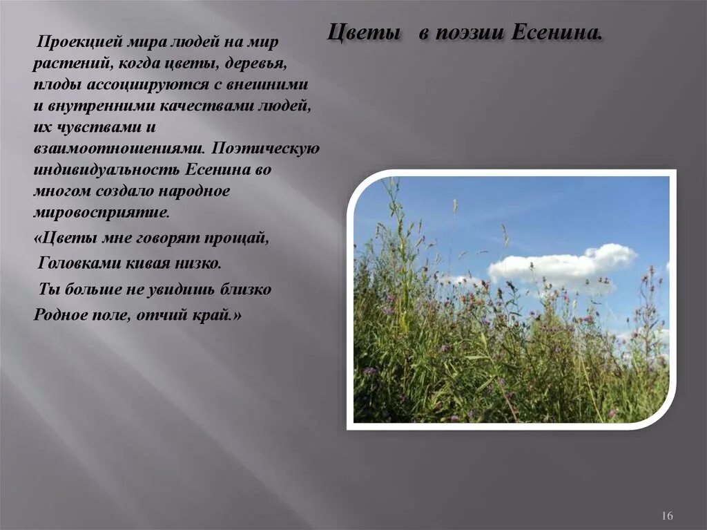 Поэт серебряного века сергей есенин серебряный век. Стих есенина я покинул родимый дом. Явления природы в стихах есенина. Цвет и звук в поэзии. Свиридов и есенин.