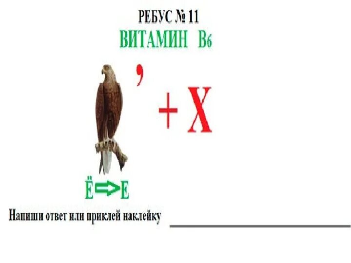 Ребусы здоровый образ жизни. Ребусы по правильному питанию. Ребус витамины. Ребусы по здоровому питанию. Ребусы по правильному питанию для детей.