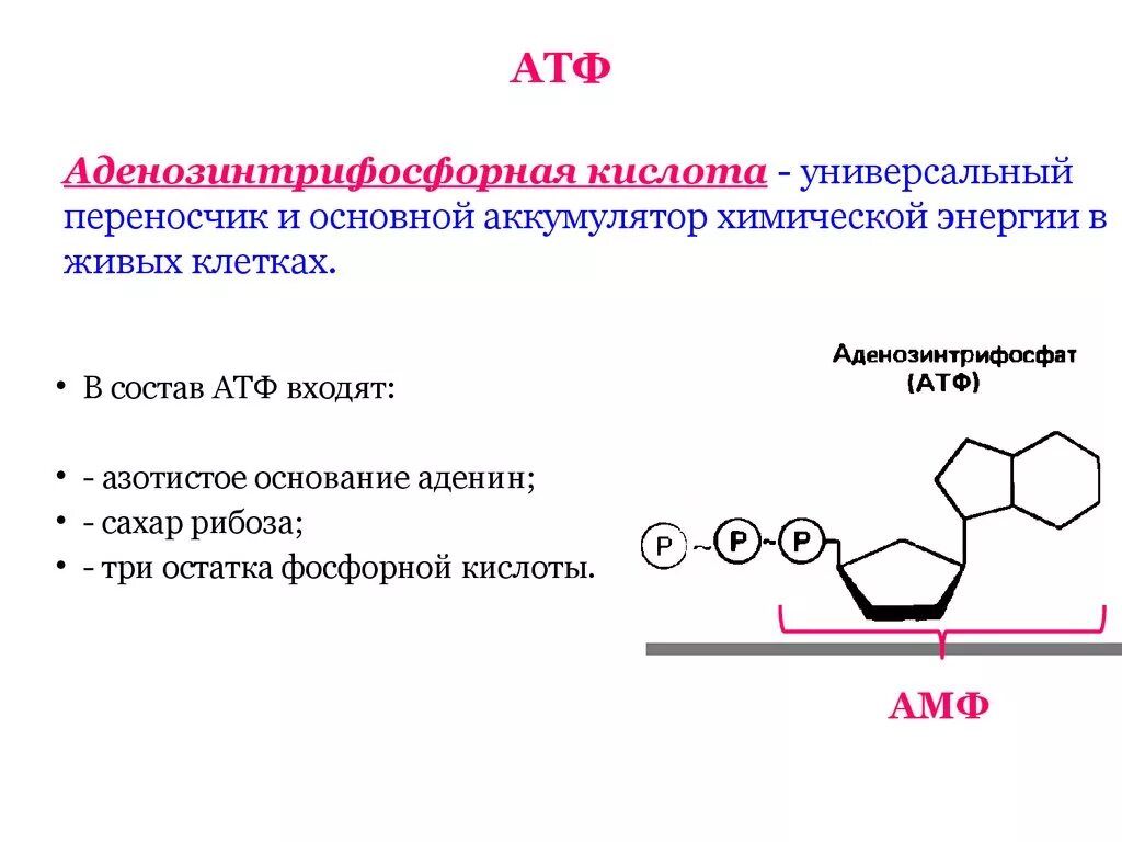 Атф поглощается. Органические вещества клетки АТФ. Органические вещества АТФ строение. АТФ хим структура. Химическая структура АТФ.
