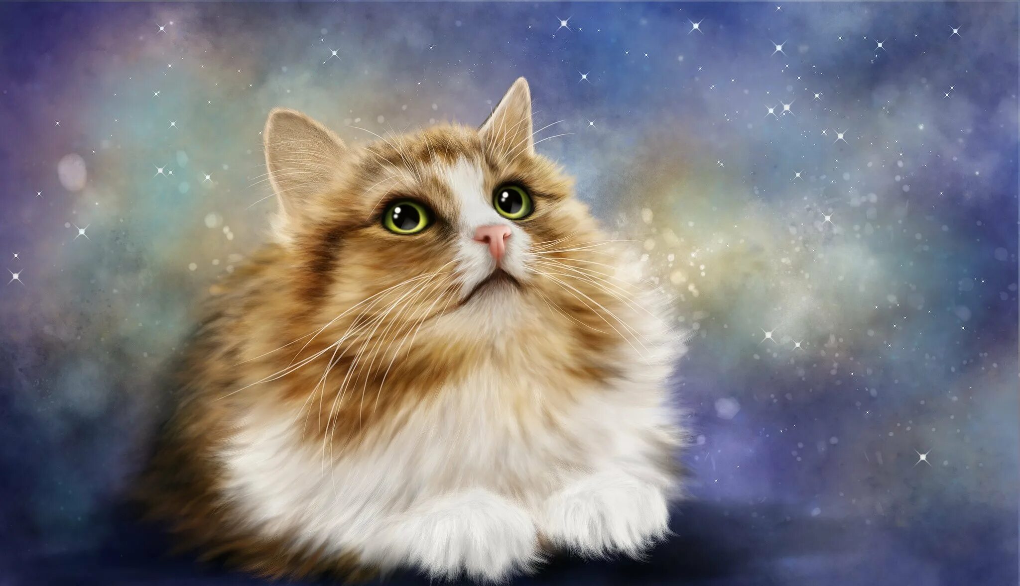 Мечтающий кот. Котики. фон с котиками. заставка на рабочий стол коты. фон кот.
