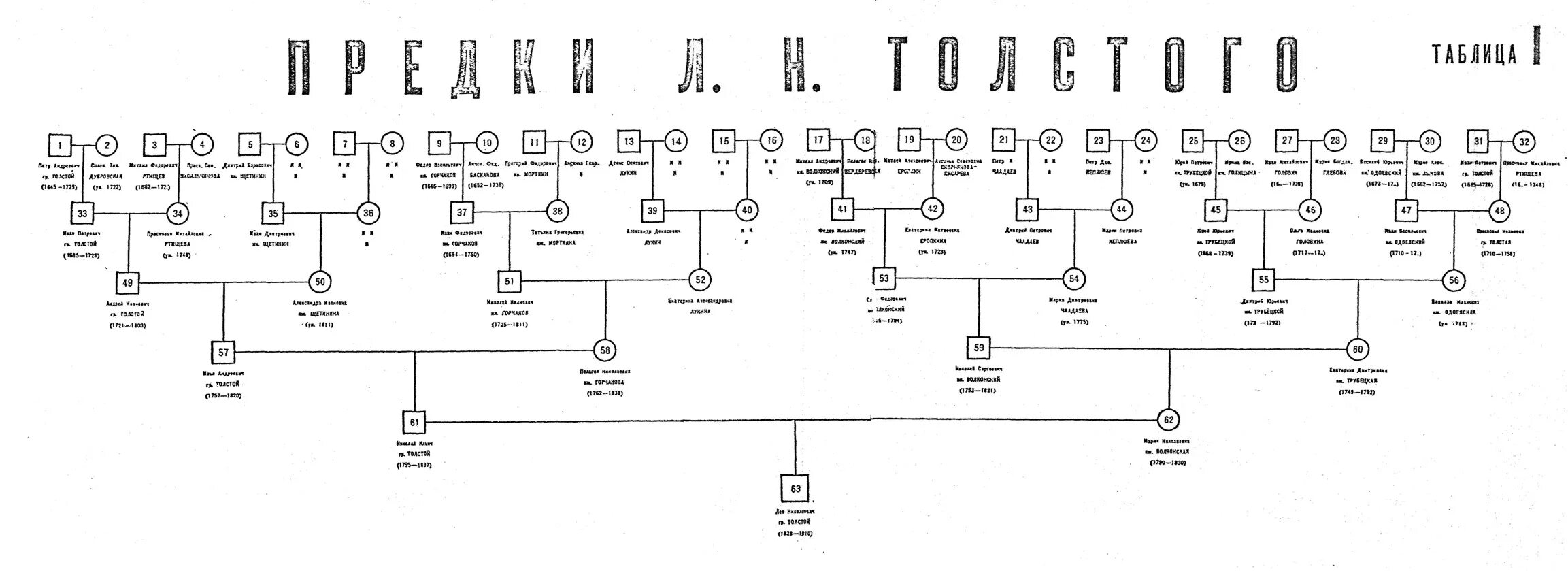 Семейное древо толстого льва николаевича. Фамильный герб льва николаевича толстого. Семейный герб льва толстого. Род льва толстого. Л.