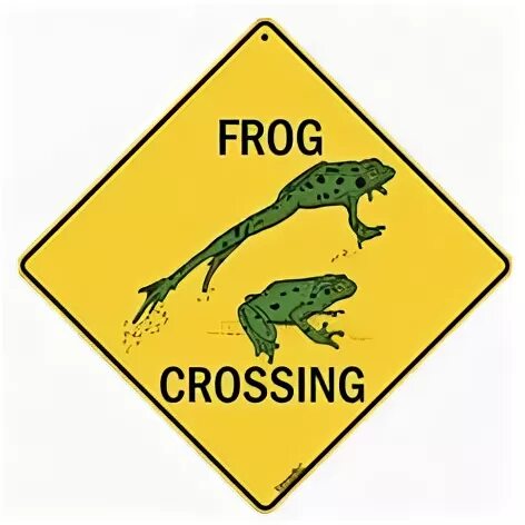 Frogs sing перевод