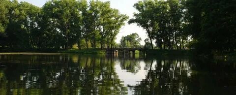 Бараши отзывы