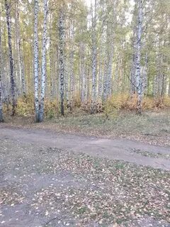 39 поселок