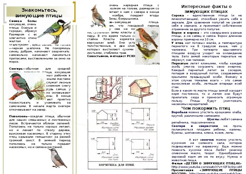 Папка передвижка день птиц. Буклет для родителей в детском саду Покормите птиц зимой. Буклет Покормите птиц зимой для родителей. Буклет для родителей Покормите птиц зимой для дошкольников. Буклет зимующие птицы.